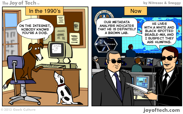 dogs on the internet