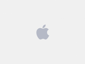Apple logo gray